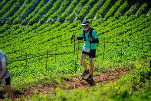 BIB: 3030
                            <button type="button" onclick="openModal(19162038)" class="btn btn-primary btn-sm float-right btn-popup" data-toggle="modal" data-target=".modal-high-quality">
                        <i class="fas fa-shopping-cart"></i> Add to Cart
                    </button>
                                            <button type="button" onclick="isThisMe(19162038, true)" class="btn btn-success btn-sm float-right btn-popup btn-isme hidden" data-toggle="tooltip" data-placement="bottom" title="นี่คือรูปของคุณใช่ไหม คลิกที่นี่เพื่อเอาเข้าอัลบั้ม">
                        <i class="fas fa-plus"></i> Add to album
                    </button>
                    <button type="button" onclick="isThisMe(19162038, false)" class="btn btn-warning btn-sm float-right btn-popup btn-isnotme hidden">
                        <i class="fas fa-ban"></i> Remove from album
                    </button>